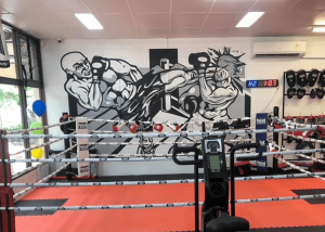 Pinnacle Fitness Boxing Mural by Duncan in Brisbane
